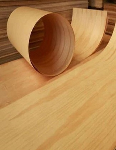Natural and engineered wood veneer rolls and sheets